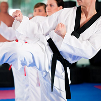 Traditional Karate Dojo's Photo